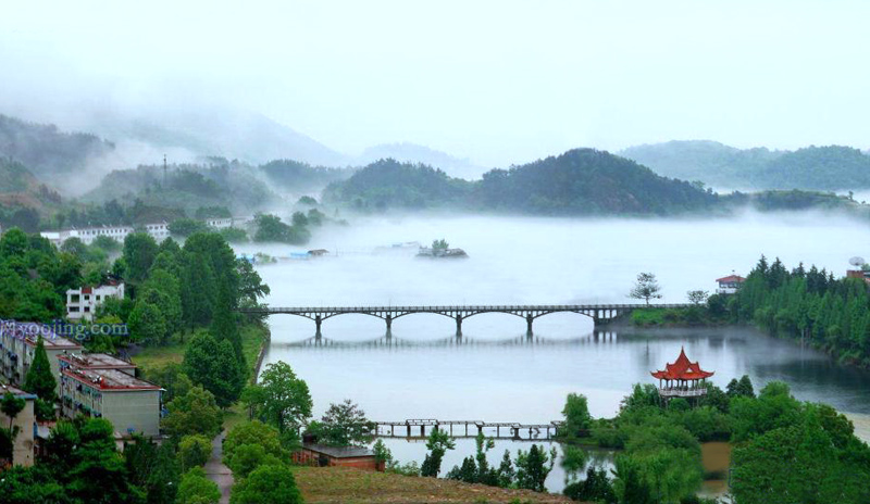 市旅游局局长王子龙到城西乡玖玖花海调研指导工作