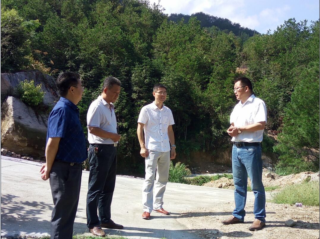 县旅游委到百里镇视察旅游景区开发建设工作