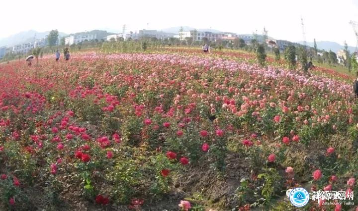 “两节”假期 我县景区以新形象迎客