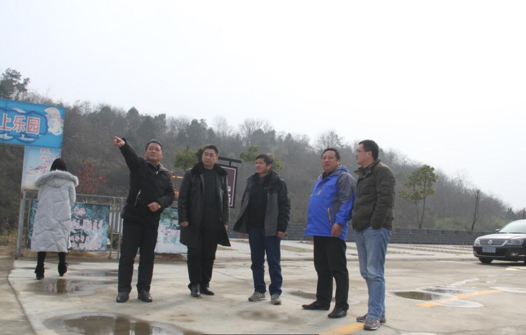 市旅游局对罗河谷和玖玖花海景区创建国家3A级旅游景区工作进行验收