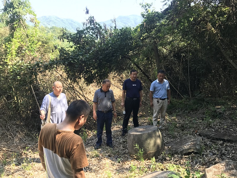 殷书林实地调研督办重点提案办理落实 工 作