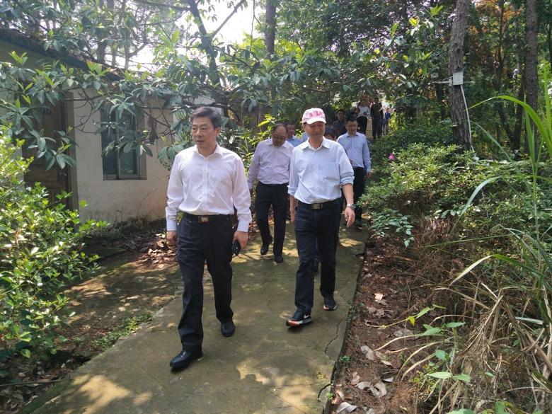 朱小兵调研全域旅游工作