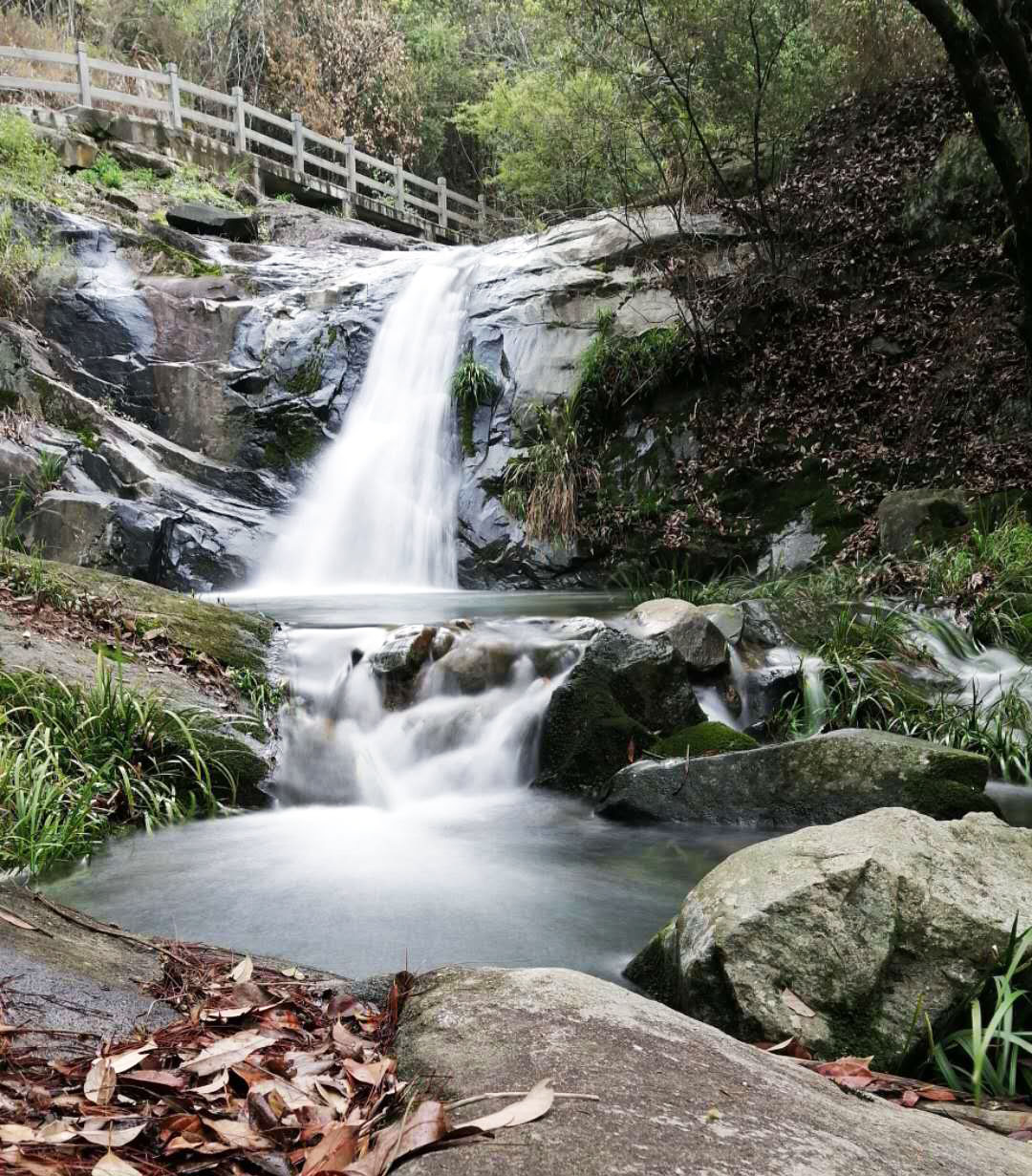 景区动态