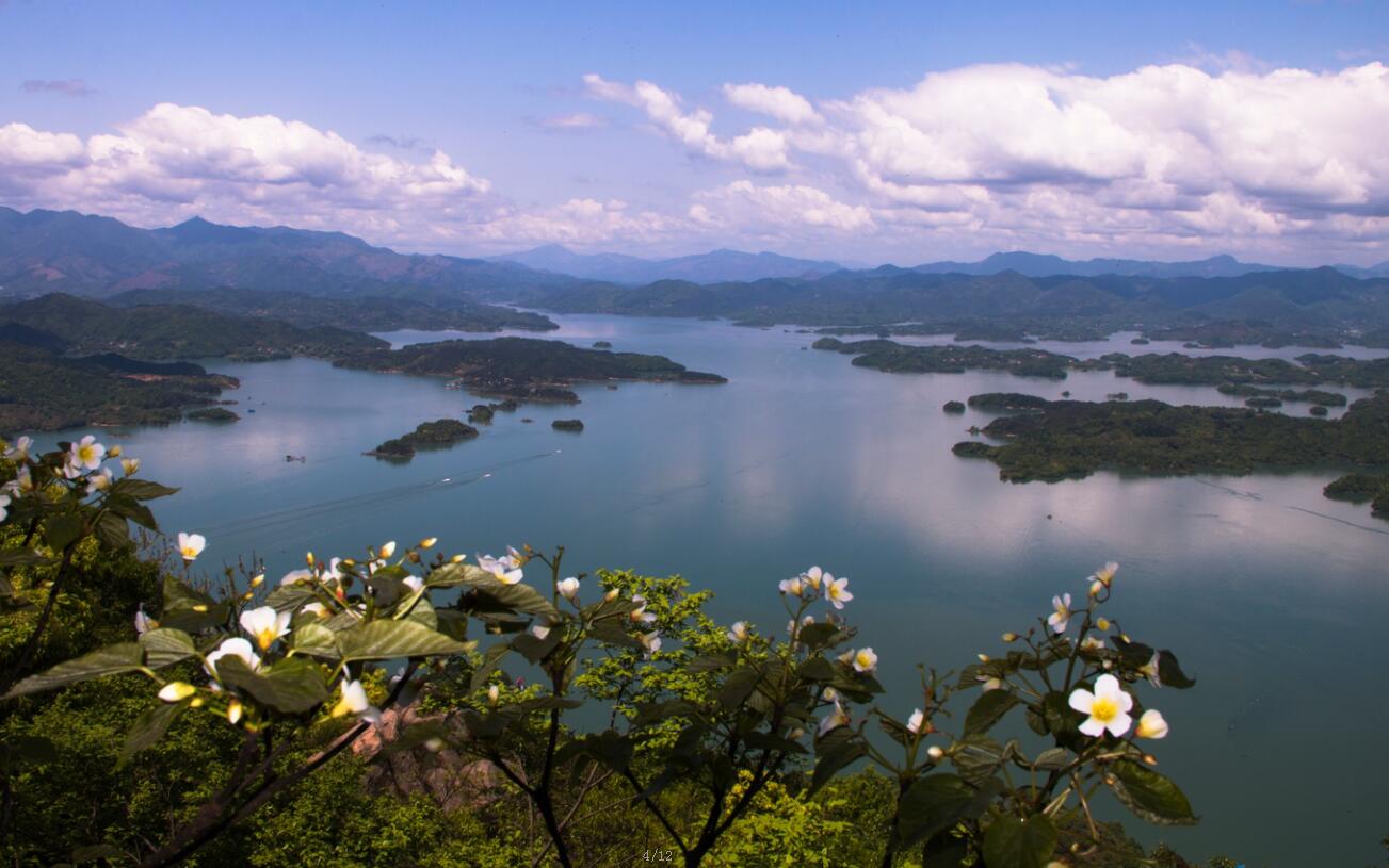 网站首页 景区概况 花亭湖简介      花亭湖旅游区位于安徽省太湖县