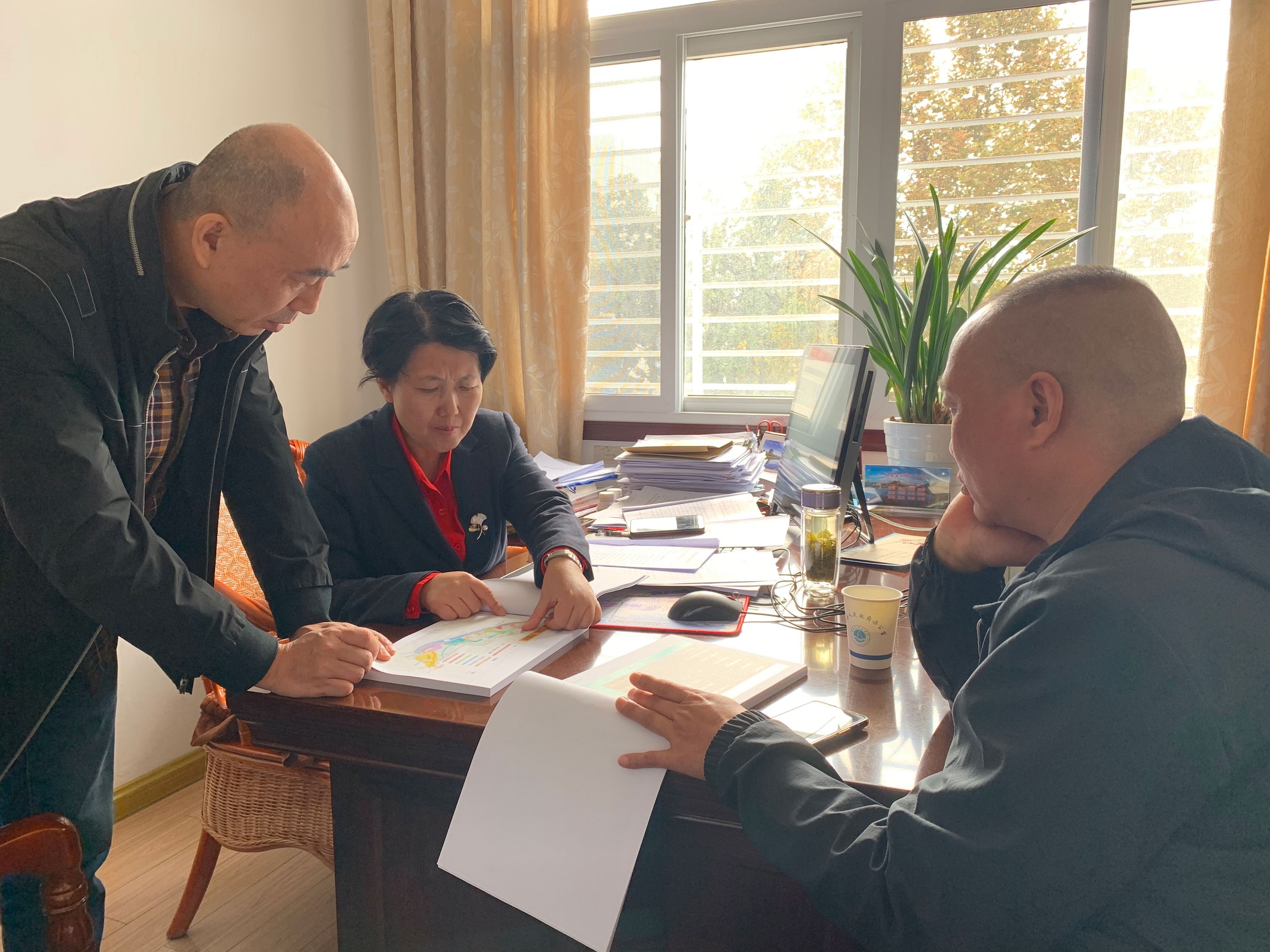 李传萍到花亭湖景区调研指导重点项目建设