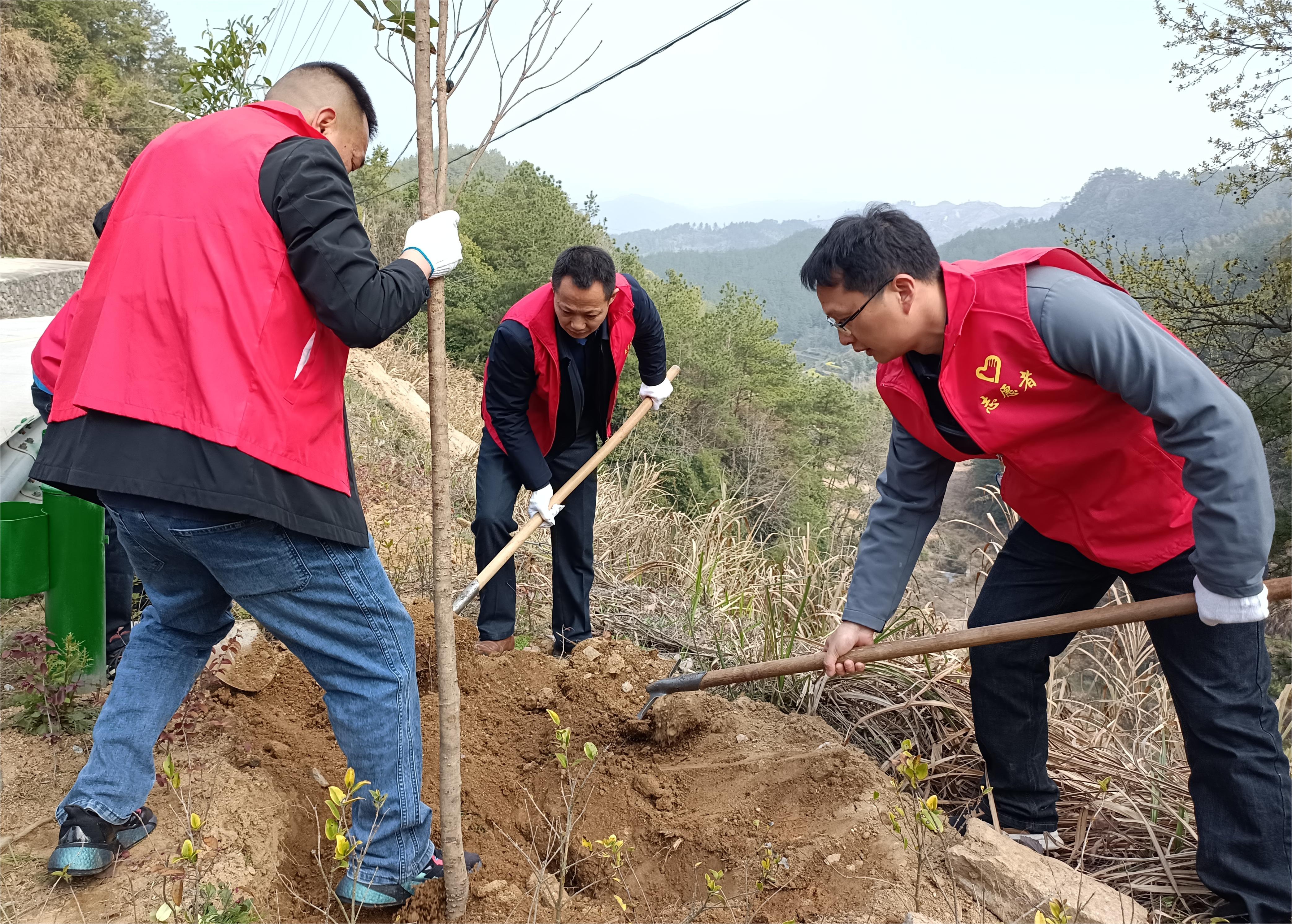 方根应到汤泉乡开展义务植树活动